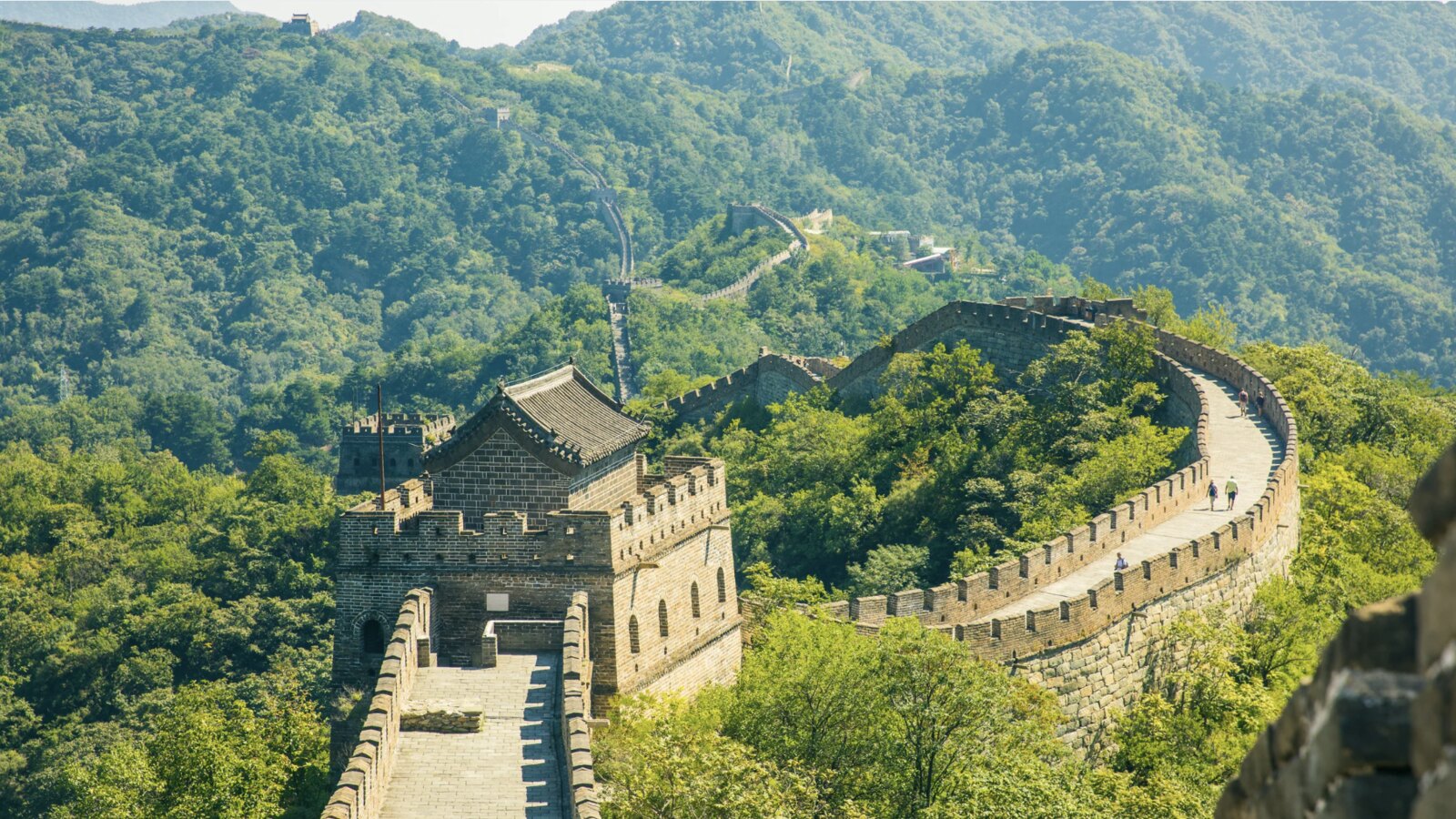 China Milenar
