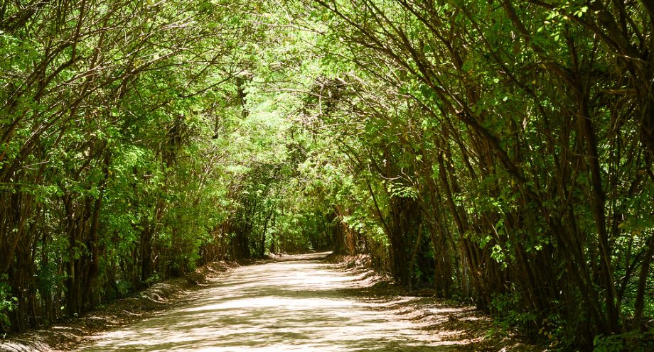 São Miguel dos Milagres