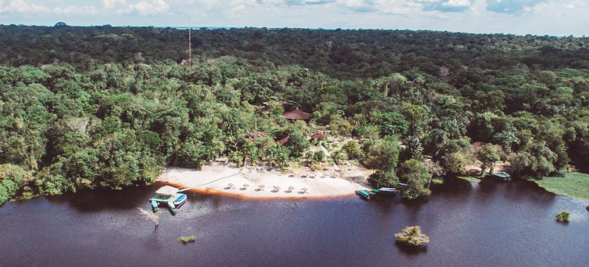 Manaus → Lodge na selva (Anavilhanas)