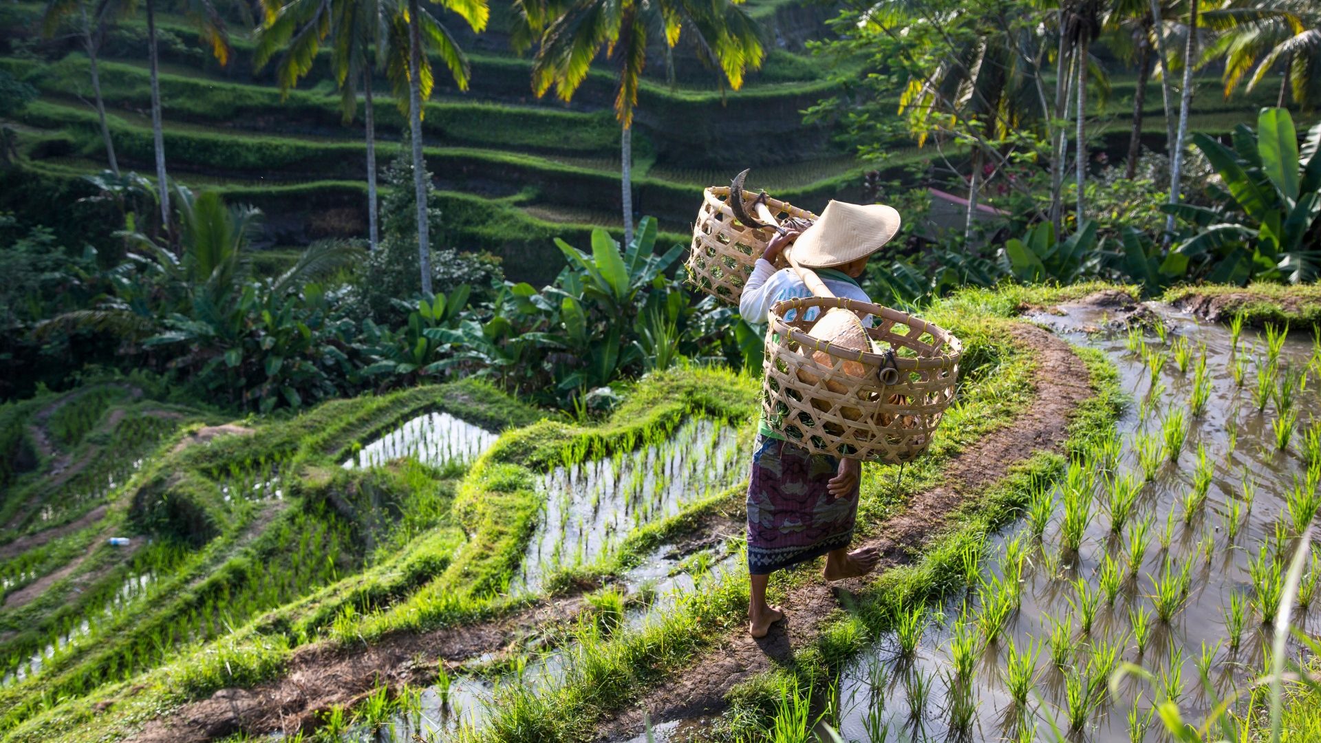 Bali