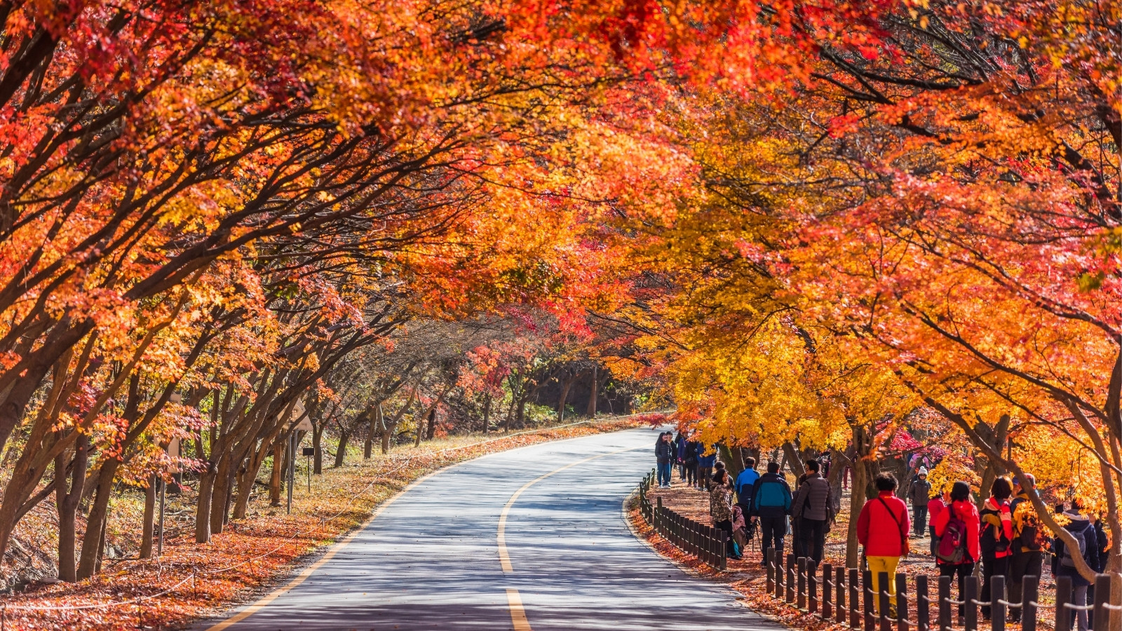 Coreia do Sul em Detalhe