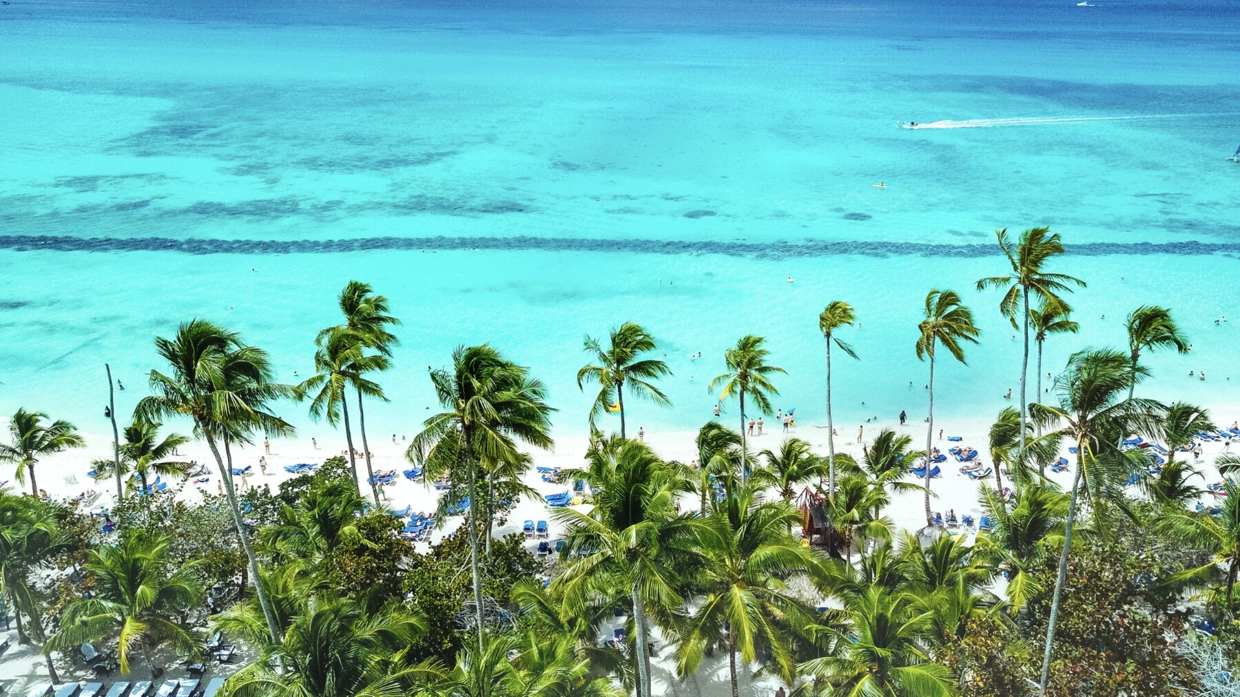 Punta Cana | Fim de Ano