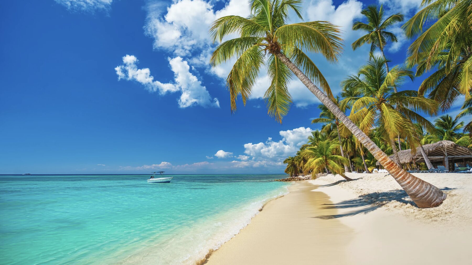 Punta Cana | Fim de Ano