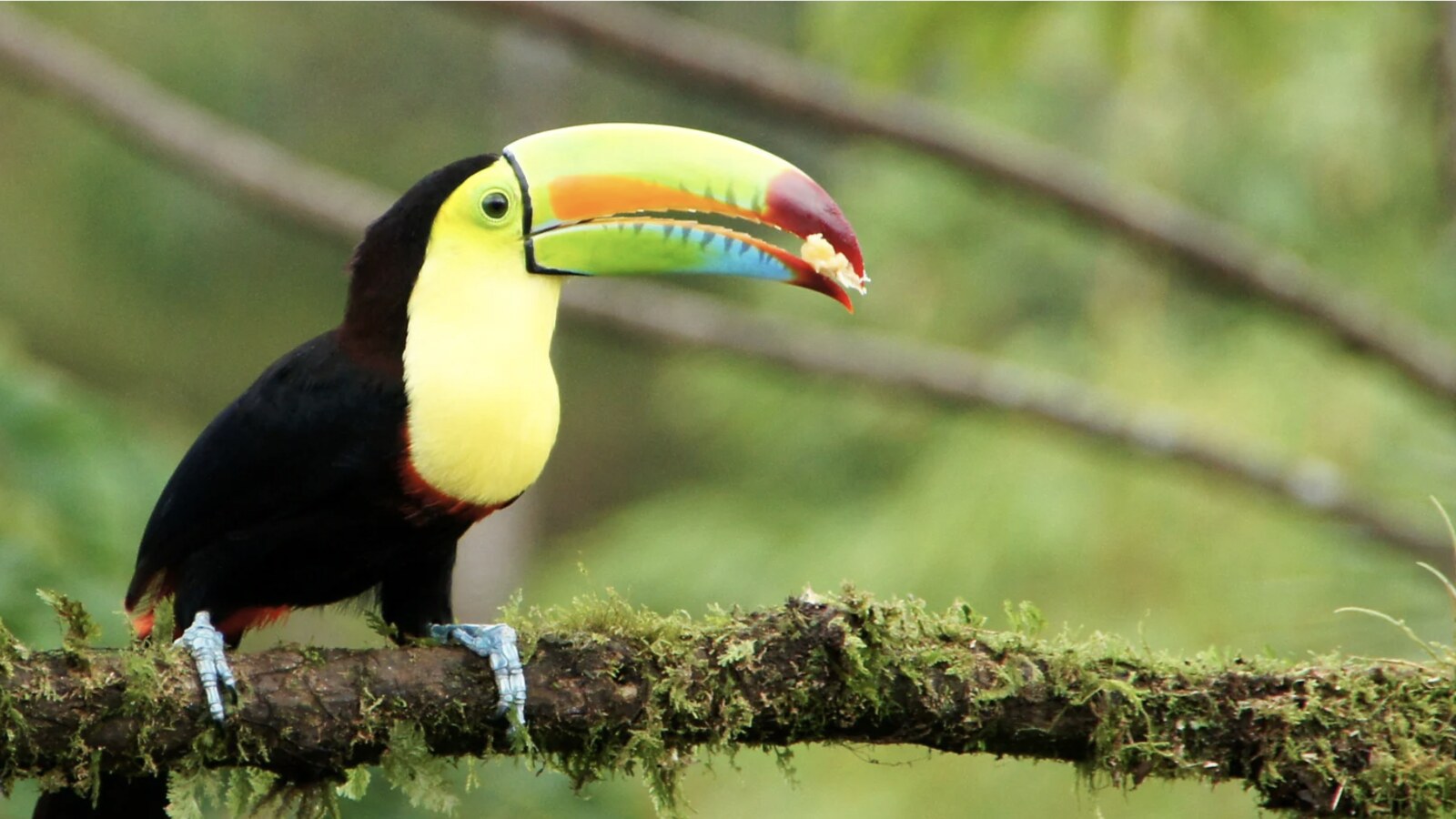 Fim de Ano na Costa Rica
